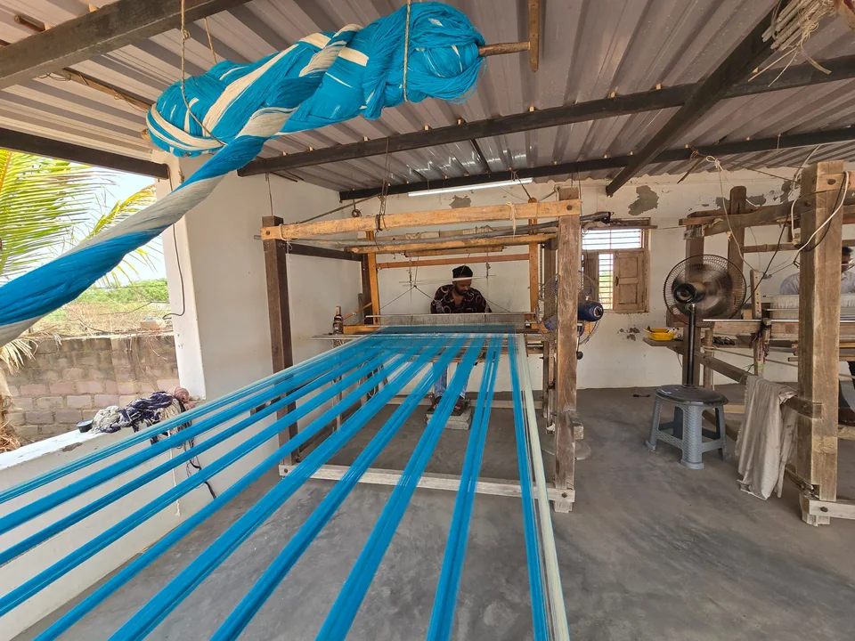 A blue warp stretched the length of a weaving shed, ready for the loom